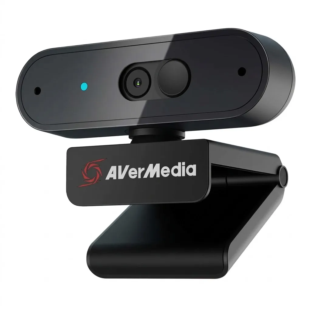 AverMedia Webcam, PW3100